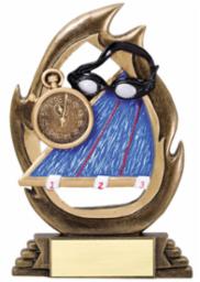 Swim Flame Series