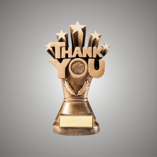 DSC Resin Thank You