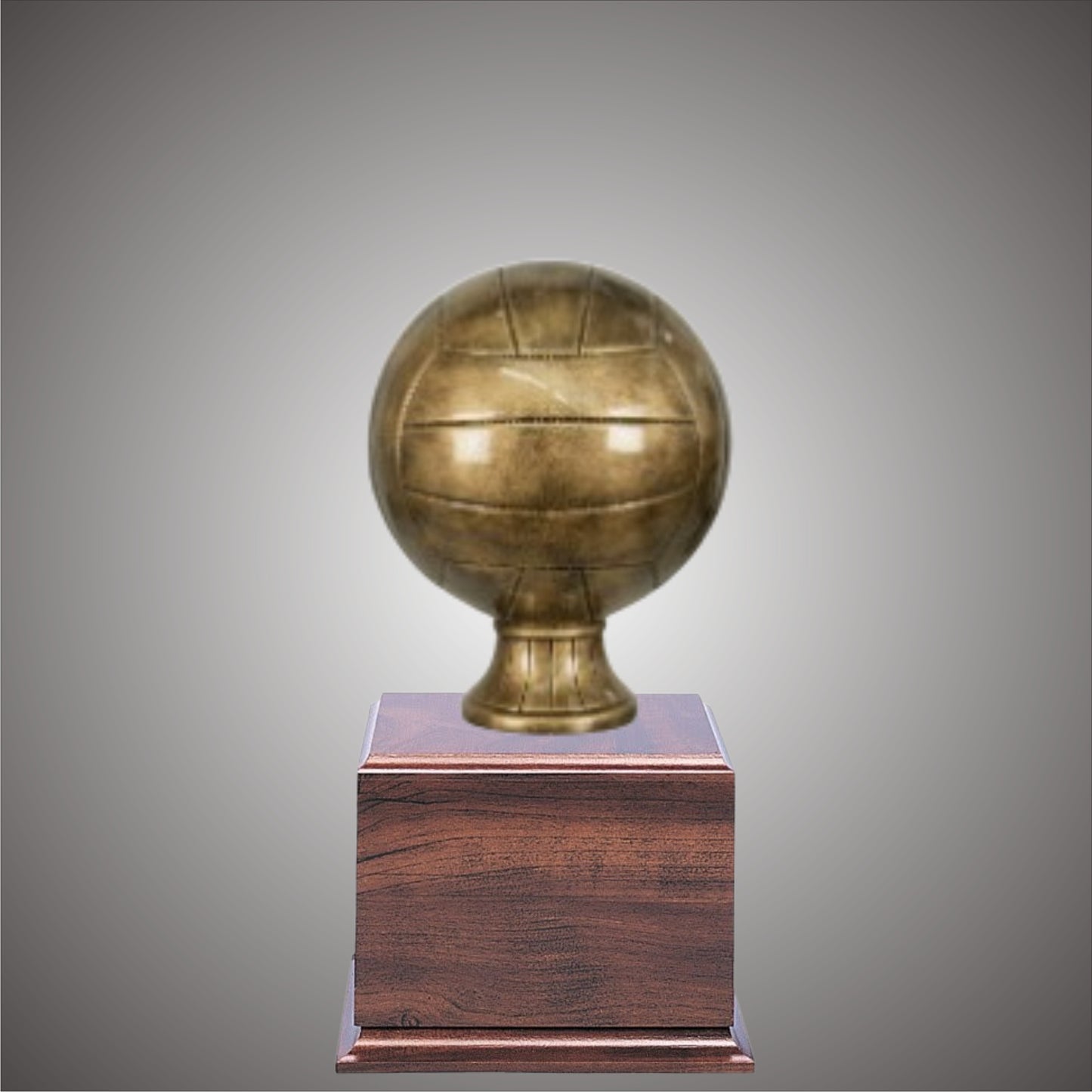 5" or 10 3/4" Volleyball Resin on Base