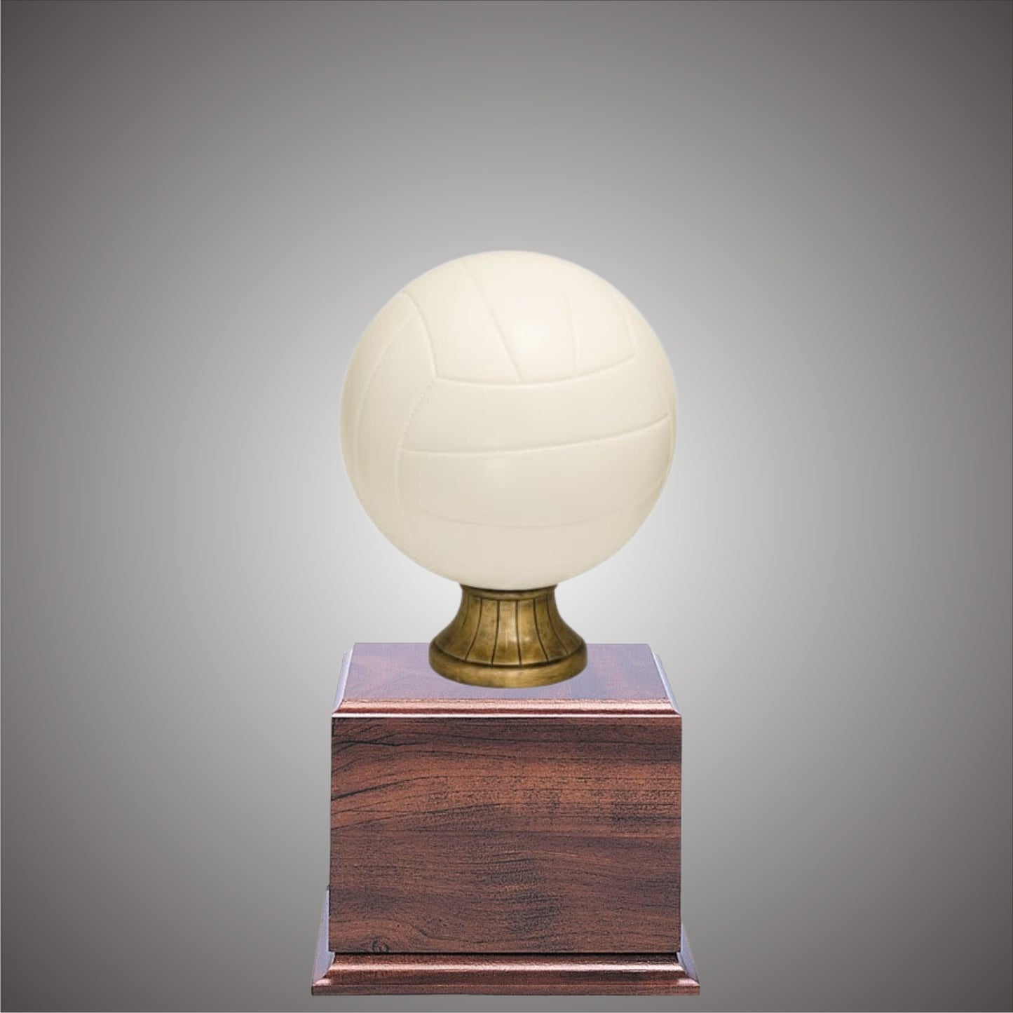 5" or 10 3/4" Volleyball Resin on Base