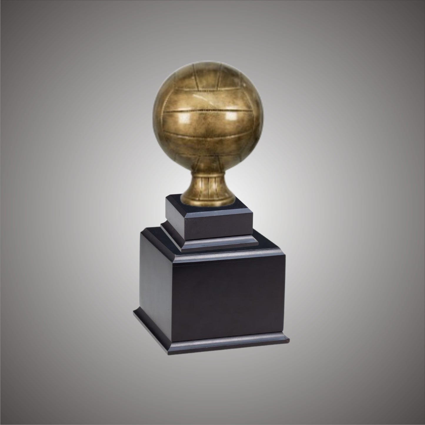 5" or 10 3/4" Volleyball Resin on Base