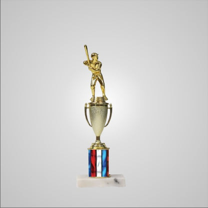 12.5" Trophy with Cup