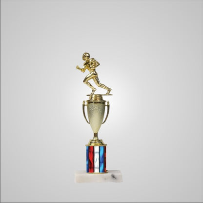 12.5" Trophy with Cup