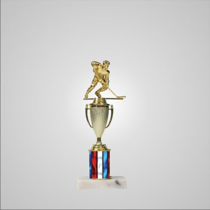 12.5" Trophy with Cup