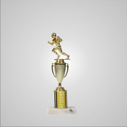 12.5" Trophy with Cup