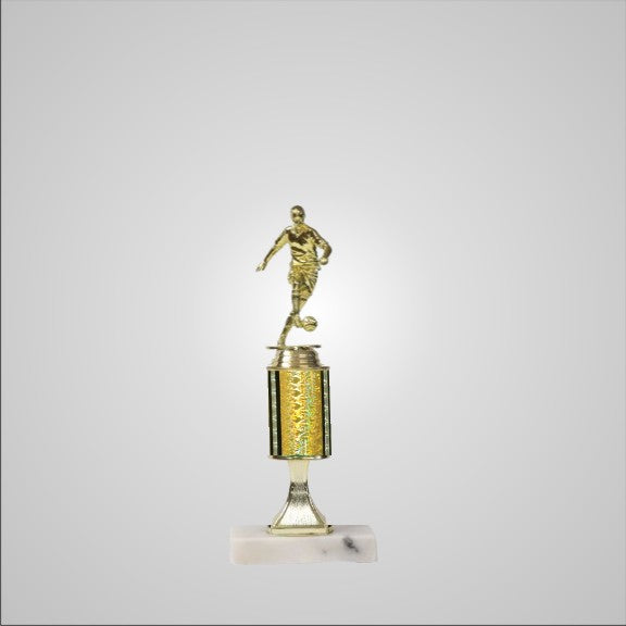 10" Trophy with Riser