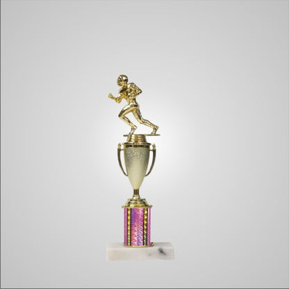 12.5" Trophy with Cup