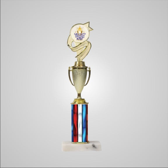 14.5" Trophy with Cup