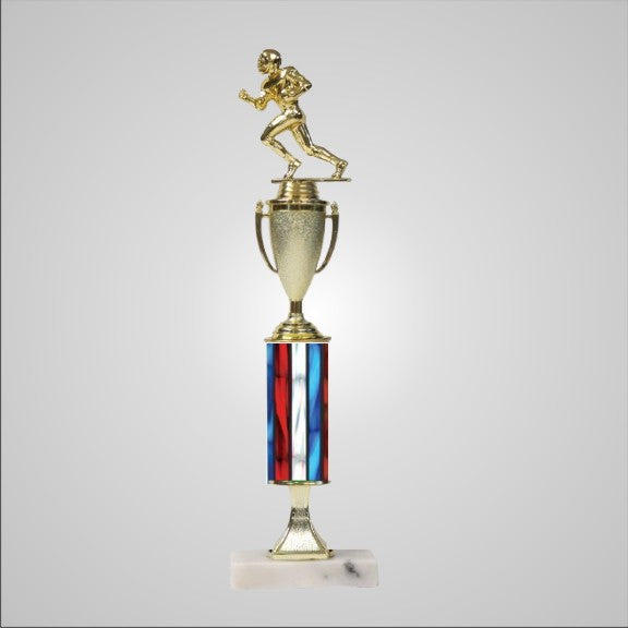 16.5" Trophy with RIser and Cup