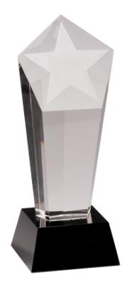 Frosted Star Column on Black Pedestal Base. Available in 3 Sizes
